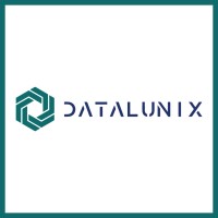 DataLunix logo - Similar company to Rj Designs