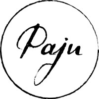 Paju Consulting logo - Similar company to Matflow Oy