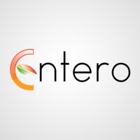 Entero Software Solutions Pvt.Ltd logo - Similar company to First Achiever Consulting