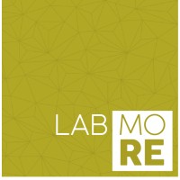 Labmore logo - Similar company to Rendercasa