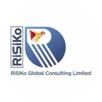 RiSiKo Global Consulting Limited logo - Similar company to Bookkeeping Support