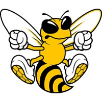 The Digital Swarm, Llc
