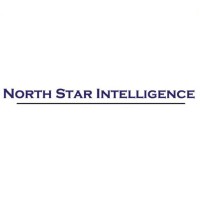 North Star Intelligence, LLC logo - Similar company to Sleuth Productions