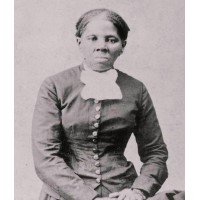 Harriet Tubman Museum logo - Similar company to Southern Majority