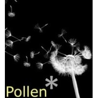 Pollen✱ | La Vie est une Formation logo - Similar company to I2S Transition