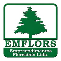 EMFLORS EMPREENDIMENTOS FLORESTAIS LTDA logo - Similar company to Rdk Logs