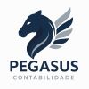 Pegasus Contabilidade logo - Similar company to Ergosaúde