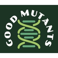 Good Mutants logo - Similar company to 7Drumcity