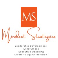 Mindset Strategies, LLC logo - Similar company to Radical Redefinition