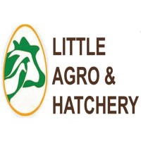 Little agro and hatchery logo - Similar company to Leemay Machinery Co., Ltd.