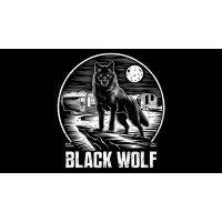 Black Wolf Communities logo - Similar company to Origen Financial Services