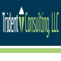 Trident Business Group -  Business and Sales Performance Consulting logo - Similar company to Trident Services Inc. An Affiliate Of The Kristen Group, Inc.
