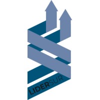 Lidersur, Coaching Y Liderazgo Empresarial
