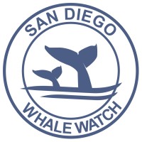 San Diego Whale Watch