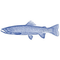 The Global Bluefish Company LLC logo - Similar company to Makoce Agriculture Development