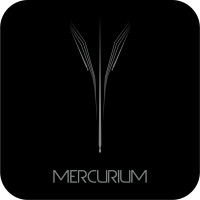 Mercurium logo - Similar company to Mercurium Analytics