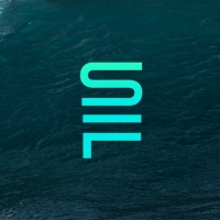 Sport Flow logo - Similar company to Brandominus