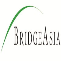 Bridge Asia Ltd. logo - Similar company to Bumblebee Technologies Bangladesh Ltd.