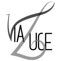 Via Luce logo - Similar company to Ensemble Matheus