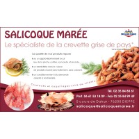 SALICOQUE MAREE logo - Similar company to Lefevre Surgeles