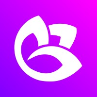 Violet Studios Llc