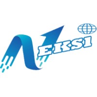 NEKSI NUMERIQUE logo - Similar company to Hepo Dakar
