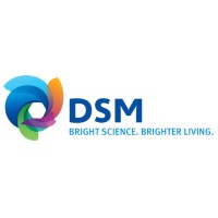 DSM Shared Services India Private Limited logo - Similar company to Bsm Technologies Pvt Limited