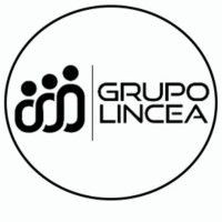 GRUPO LINCEA logo - Similar company to Centro Multidisciplinar Vohale