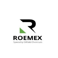 Roemex Ltd logo - Similar company to Topolytics