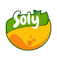 SOLY International logo - Similar company to Lysa & Co