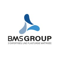 BMS Group logo - Similar company to Bms