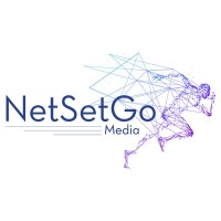 NetSetGo Media Pvt. Ltd. logo - Similar company to Playin Games Technologies Pvt Ltd