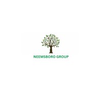 Neemsboro Group logo - Similar company to Neemsboro Group