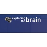 exploring.the.brain logo - Similar company to Nousgym