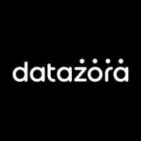 Datazora logo - Similar company to Deep Data Research