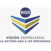 BGS Visión Empresarial logo - Similar company to Visión Empresarial