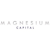 Magnesium Capital LLP logo - Similar company to Quantec Systems