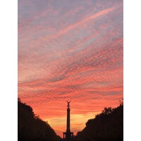 BerlinValue (General Counsel on demand / fractional GC) logo - Similar company to Fractional Gc Solutions