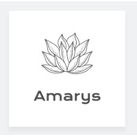 Amarys Consulting AB logo - Similar company to Amarys It