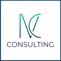 iVC Consulting logo - Similar company to African Savant