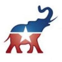 Palatine Township Republican Organization logo - Similar company to Representative Amy Elik