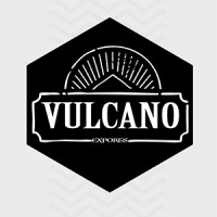 Vulcano Exports logo - Similar company to Vulcano Group