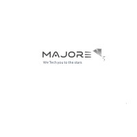Majore logo - Similar company to Nepeto