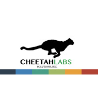 CheetahLabs Solutions, Inc. logo - Similar company to Ceci | המרכז להעצמת האזרח