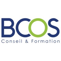 BCOS logo - Similar company to Hivedigit