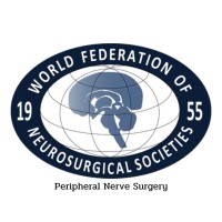 WFNS Peripheral Nerve Surgery logo - Similar company to Hand Faculty