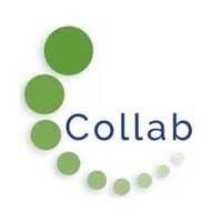 Collaborator Software logo - Similar company to Stormtechsa (Pty) Ltd