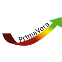 Primavera Project