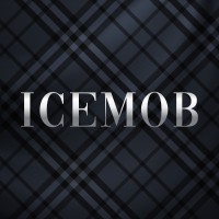 Icemob logo - Similar company to Ask Hue