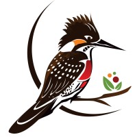 Kingfisher Specialty Coffee logo - Similar company to Percol - Fairtrade & Organic Coffee